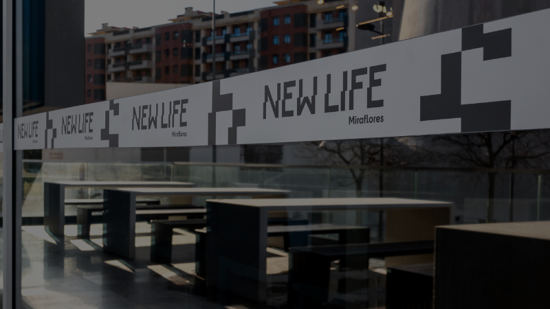 Notícias & Novidades